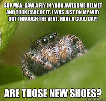 Sup man. Saw a fly in your awesome helmet and took care of it. I was just on my way out through the vent. Have a good day! Are those new shoes? - Sup man. Saw a fly in your awesome helmet and took care of it. I was just on my way out through the vent. Have a good day! Are those new shoes?  Misunderstood Spider