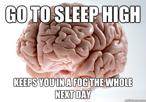 go to sleep high keeps you in a fog the whole next day  Scumbag Brain