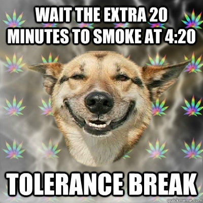 wait the extra 20 minutes to smoke at 4:20 tolerance break  