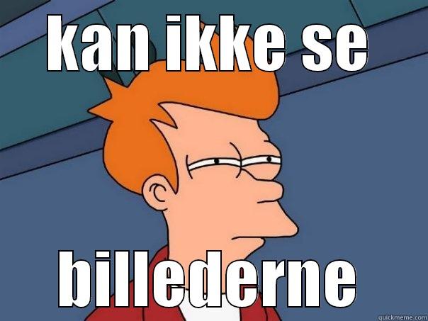 KAN IKKE SE BILLEDERNE Futurama Fry