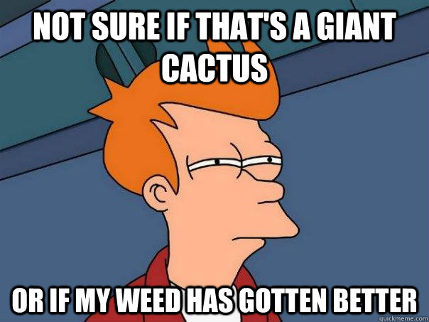 Not sure if that's a giant cactus Or if my weed has gotten better  Futurama Fry