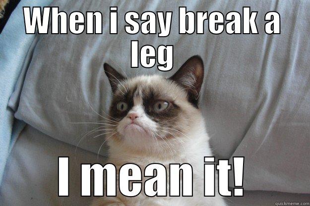 When i say break a leg i mean it! - WHEN I SAY BREAK A LEG I MEAN IT! Grumpy Cat