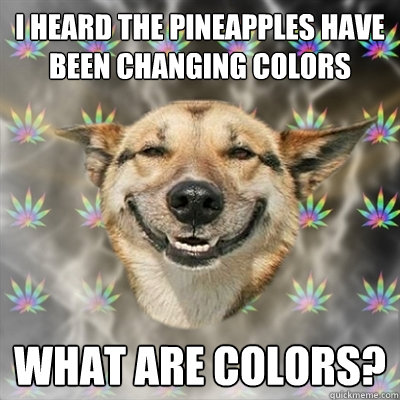 I heard the pineapples have been changing colors What are colors?  Stoner Dog