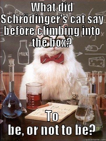 WHAT DID SCHRÖDINGER'S CAT SAY BEFORE CLIMBING INTO THE BOX? TO BE, OR NOT TO BE? Chemistry Cat