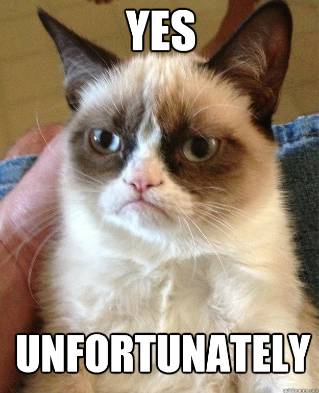 YES unfortunately - YES unfortunately  Grumpy Cat