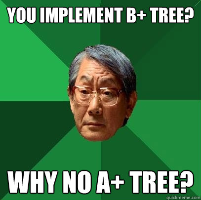 You implement B+ tree? Why no A+ Tree?  High Expectations Asian Father