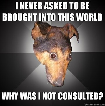 i never asked to be brought into this world why was i not consulted?  Depression Dog