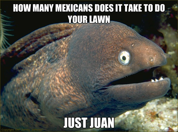 how many mexicans does it take to do your lawn just juan  Bad Joke Eel