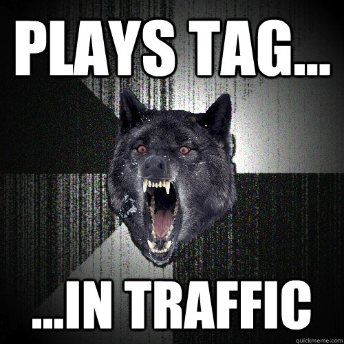 plays tag... ...in traffic  Insanity Wolf