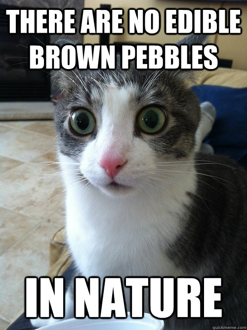 there are no edible brown pebbles  in nature  Sudden Clarity Cat