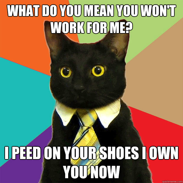 What do you mean you won't work for me? I peed on your shoes I own you now  Business Cat