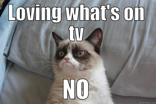 LOVING WHAT'S ON TV NO Grumpy Cat