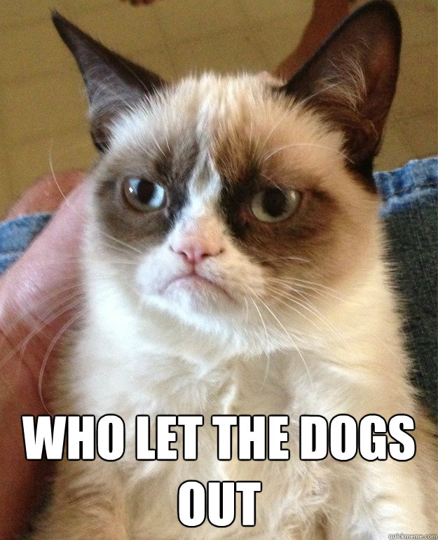  Who let the dogs out  Grumpy Cat