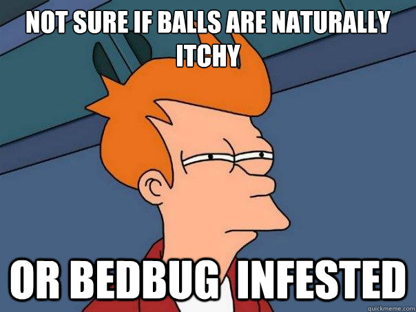 Not sure if balls are naturally itchy  Or bedbug  infested - Not sure if balls are naturally itchy  Or bedbug  infested  Futurama Fry