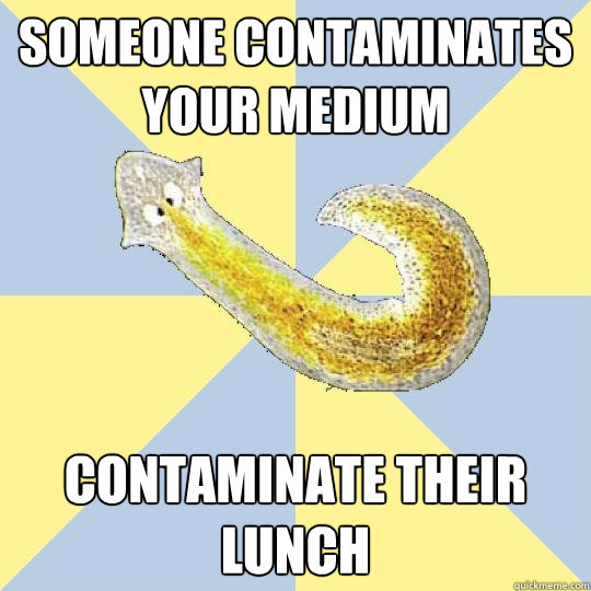 someone contaminates your medium contaminate their lunch  Bio Major Planarian