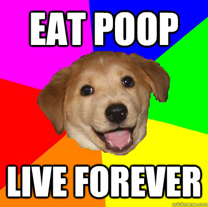 EAT POOP LIVE FOREVER  Advice Dog