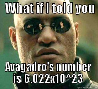   WHAT IF I TOLD YOU  AVAGADRO'S NUMBER IS 6.022X10^23 Matrix Morpheus