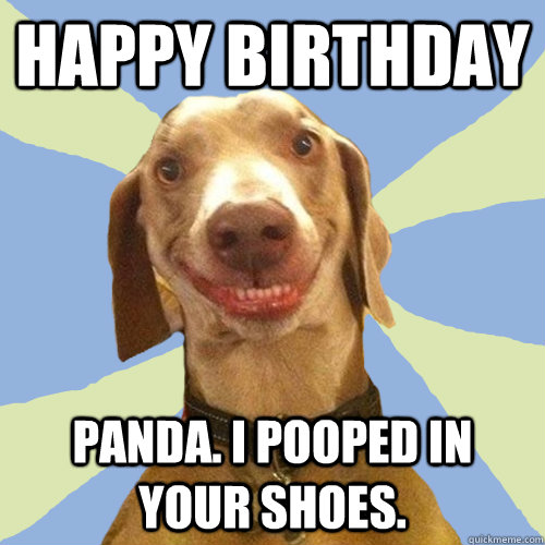 HAPPY BIRTHDAY PANDA. I POOPED IN YOUR SHOES.  Disgusting Doggy