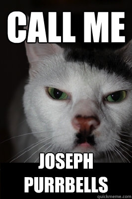 Call me joseph Purrbells  Hitler cat