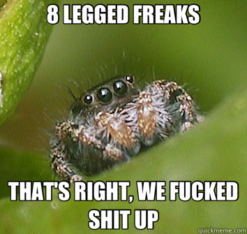 8 LEGGED FREAKS THAT'S RIGHT, WE FUCKED SHIT UP  Misunderstood Spider