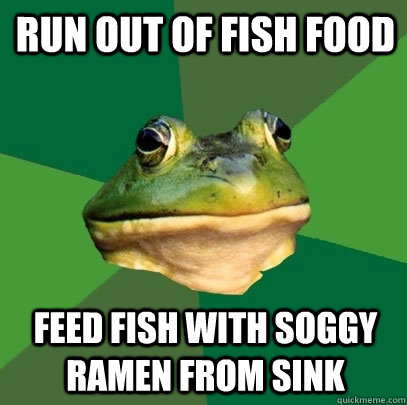 run out of fish food feed fish with soggy ramen from sink - run out of fish food feed fish with soggy ramen from sink  Foul Bachelor Frog