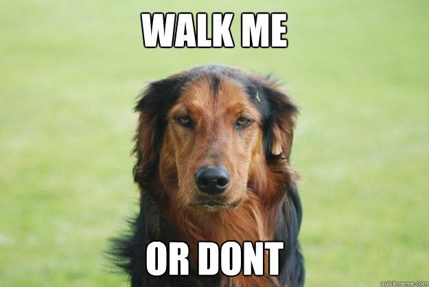 Walk me or dont  