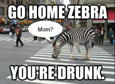 Go home zebra You're drunk. - Go home zebra You're drunk.  Misc