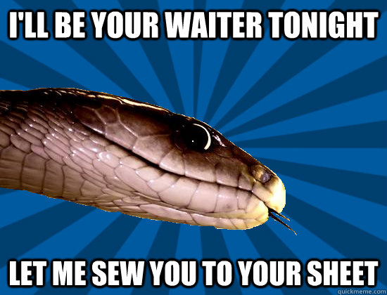 I'll be your waiter tonight Let me sew you to your sheet  Spoonerism Snake