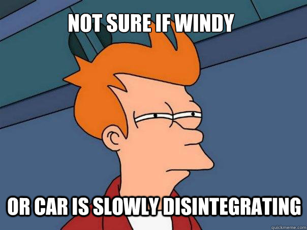 Not sure if windy Or car is slowly disintegrating  Futurama Fry