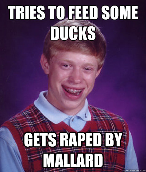 Tries to feed some ducks Gets raped by mallard  Bad Luck Brian