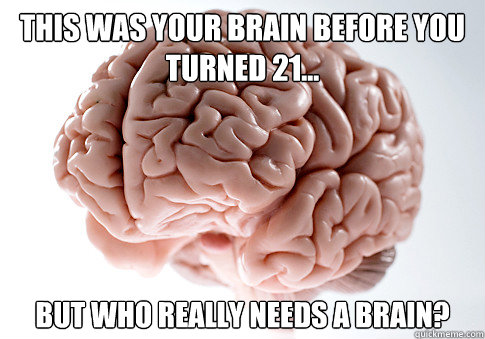 this was your brain before you turned 21... but who really needs a brain?   Scumbag Brain