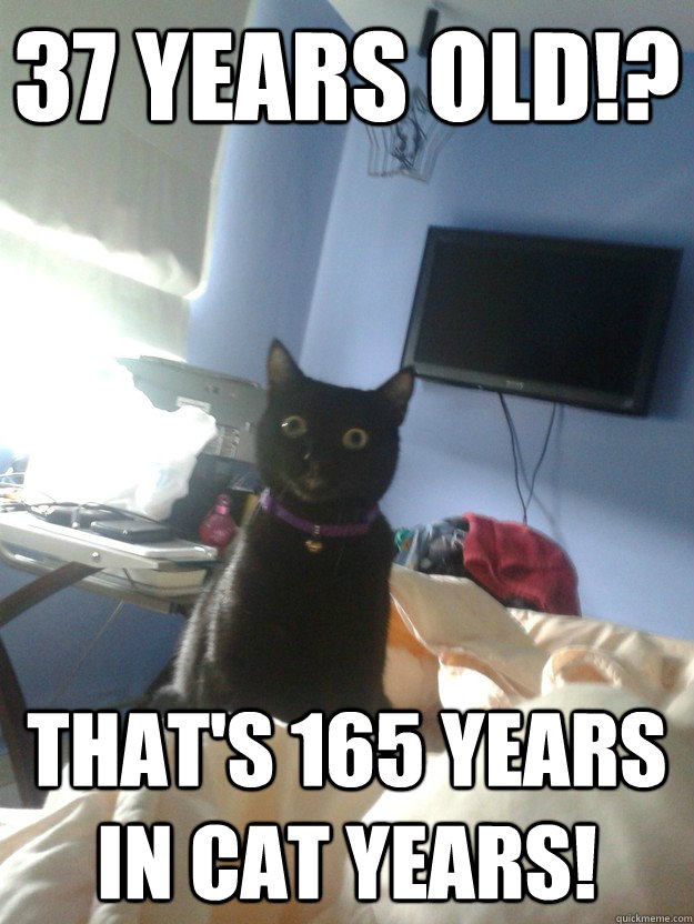 37 years old!? That's 165 years in cat years!  overly attached cat