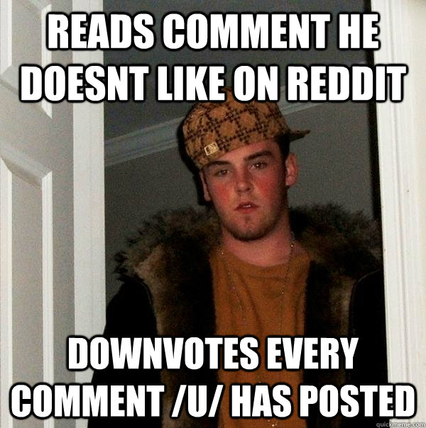 Reads comment he doesnt like on Reddit Downvotes every comment /u/ has posted  Scumbag Steve