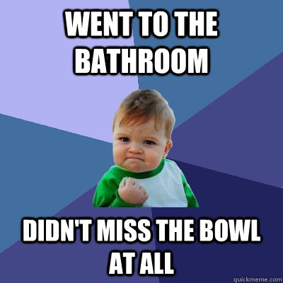 Went to the bathroom Didn't miss the bowl at all  Success Kid