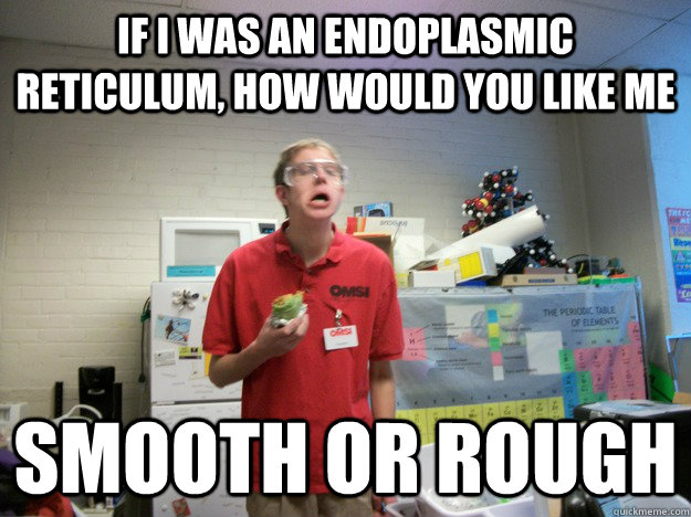 If i was an endoplasmic reticulum, how would you like me smooth or rough - If i was an endoplasmic reticulum, how would you like me smooth or rough  Misc