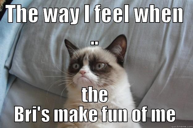 Grumpy Jess - THE WAY I FEEL WHEN .. THE BRI'S MAKE FUN OF ME Grumpy Cat