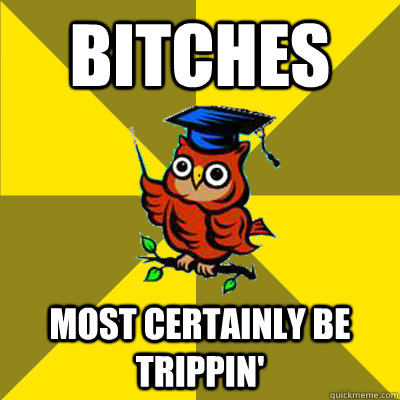 Bitches Most certainly be trippin'  Observational Owl