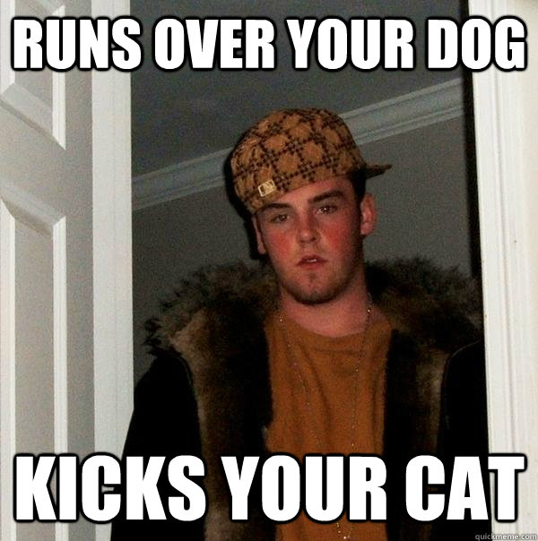 Runs over your dog kicks your cat  Scumbag Steve