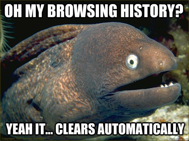 Oh my browsing history? yeah it... clears automatically - Oh my browsing history? yeah it... clears automatically  Caught in the act Moray