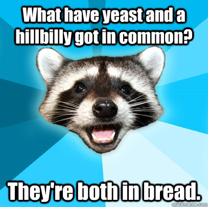 What have yeast and a hillbilly got in common? They're both in bread.  Lame Pun Coon