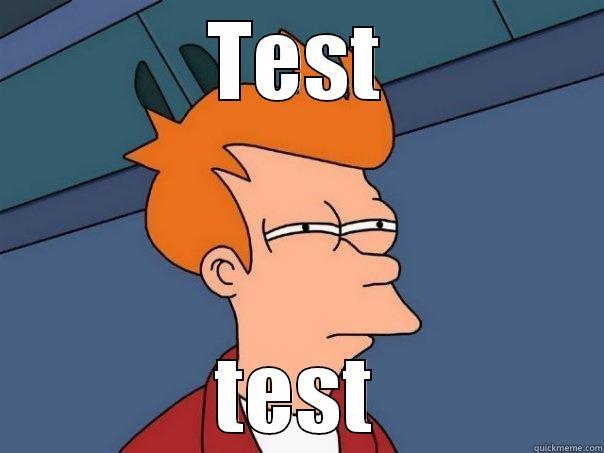 TEST TEST Futurama Fry