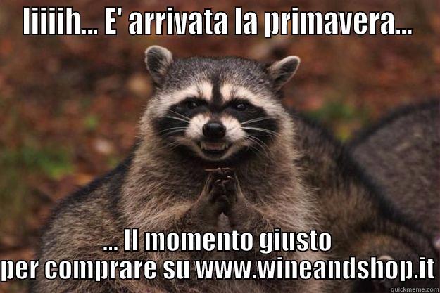 IIIIIH... E' ARRIVATA LA PRIMAVERA... ... IL MOMENTO GIUSTO PER COMPRARE SU WWW.WINEANDSHOP.IT Evil Plotting Raccoon