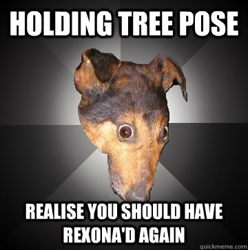 HOLDING TREE POSE REALISE YOU SHOULD HAVE REXONA'D AGAIN  Depression Dog