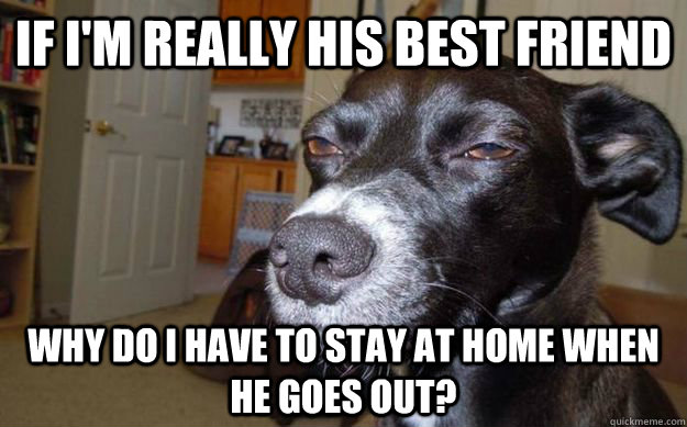 If I'm really his best friend why do I have to stay at home when he goes out?  Skeptical Mutt