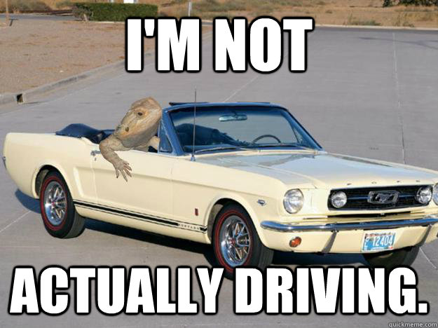 I'm not actually driving. - I'm not actually driving.  Pickup Dragon