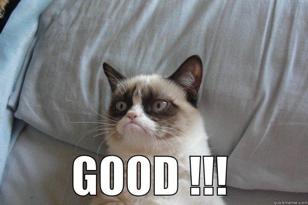  GOOD !!! Grumpy Cat