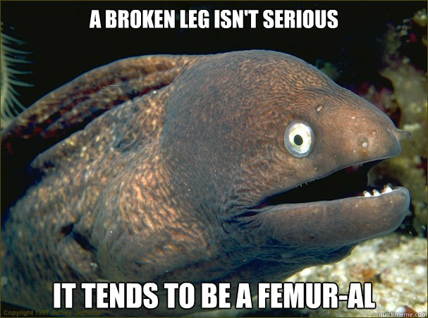 A broken leg isn't serious It tends to be a femur-al  Bad Joke Eel