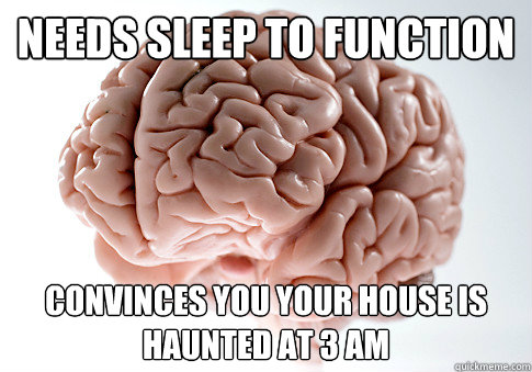 needs sleep to function  convinces you your house is haunted at 3 AM  Scumbag Brain