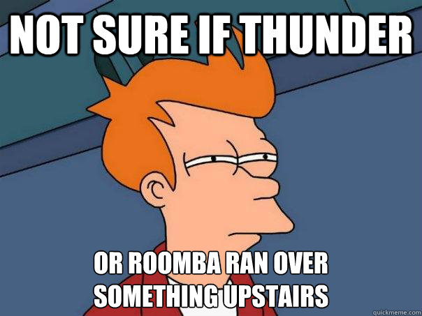 not sure if thunder or roomba ran over 
something upstairs  Futurama Fry