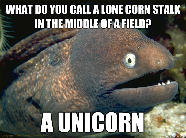 What do you call a lone corn stalk in the middle of a field? A Unicorn  Bad Joke Eel